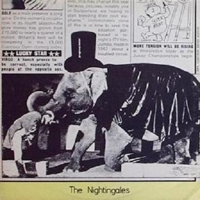 The Nightingales EP