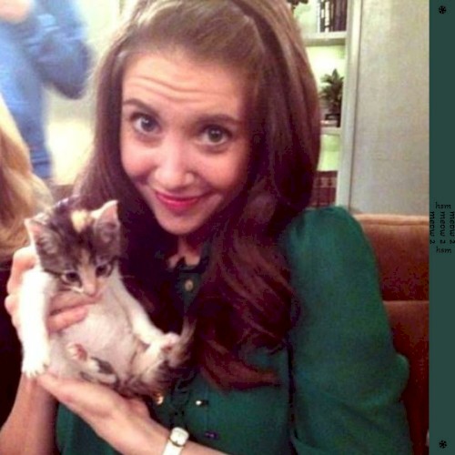 meow 2 (deluxe)