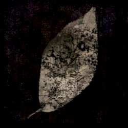 I am a Leaf