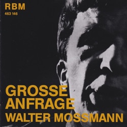 Große Anfrage