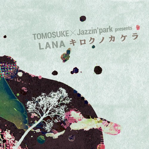 LANA - a Piece of Memories