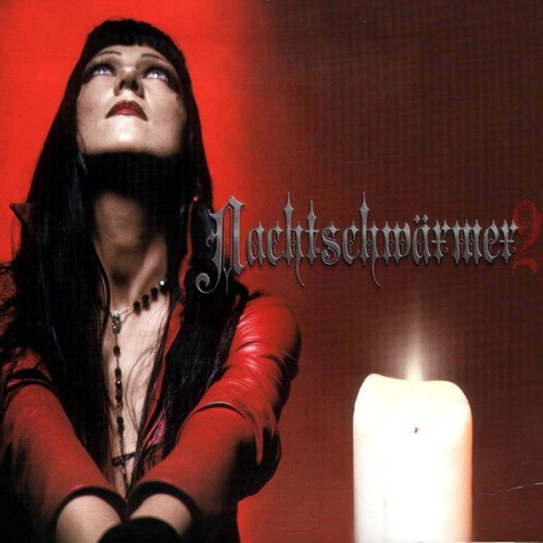 Nachtschwärmer 2