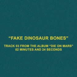 Fake Dinosaur Bones