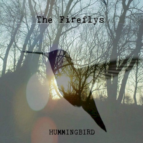 Hummingbird