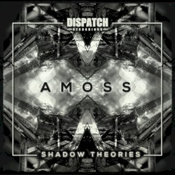 Shadow Theories