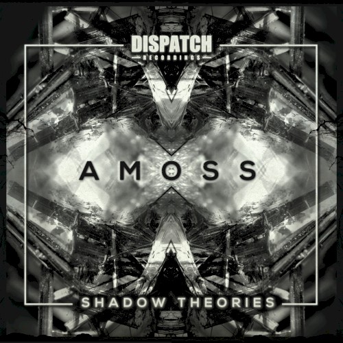 Shadow Theories