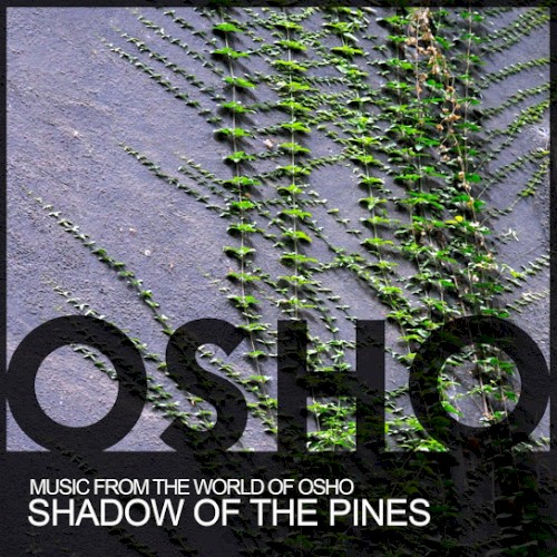Shadow of the Pines