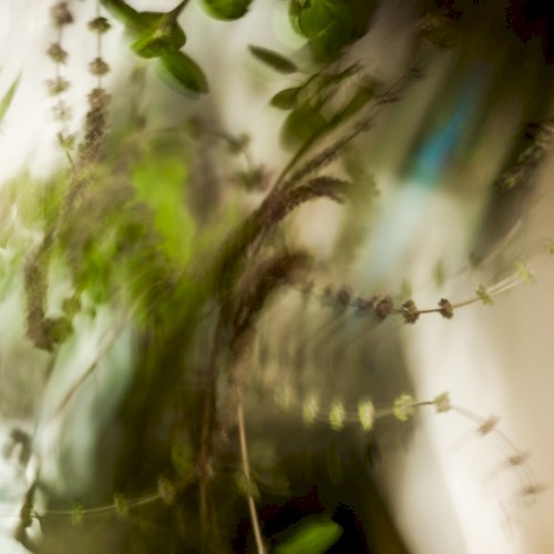Ephemeral garden