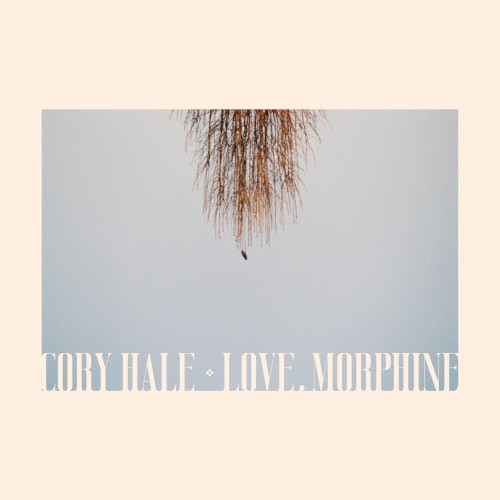 Love, Morphine