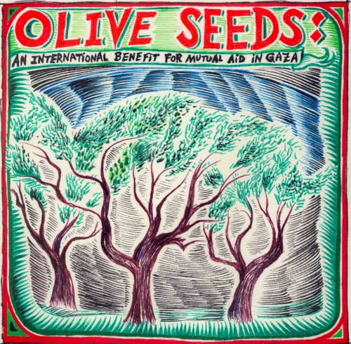 Olive Seeds: An International Benefit for Mutual Aid in Gaza