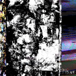 As the Gods Will / She Killed in Extasy