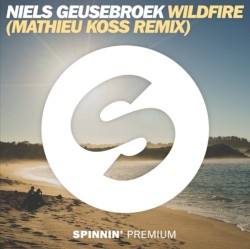 Wildfire (Mathieu Koss remix)