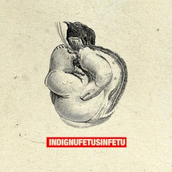 Fetus in Fetu