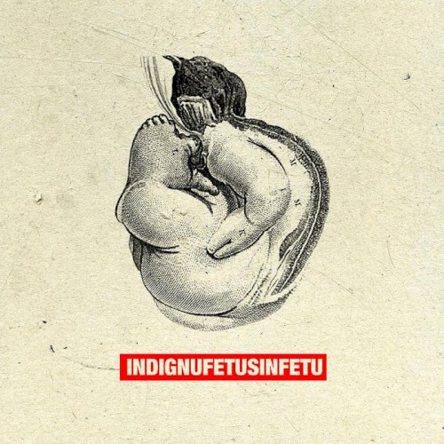 Fetus in Fetu