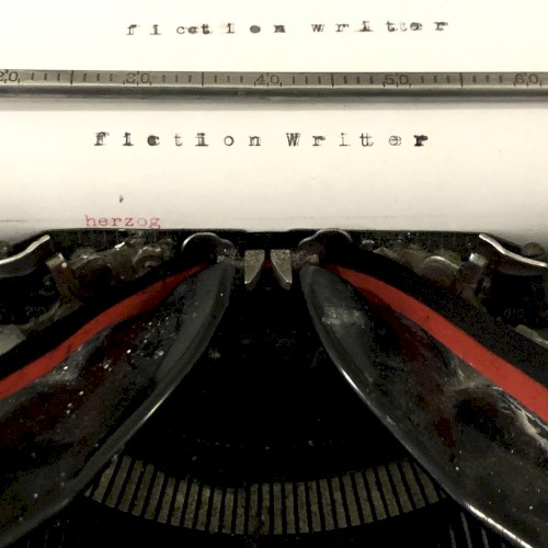 Fiction Writer