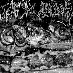 Errant Static / Asmodexia