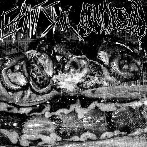 Errant Static / Asmodexia