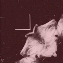 Anomalies