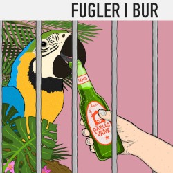Fugler I Bur