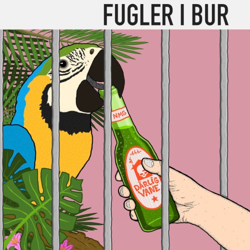 Fugler I Bur