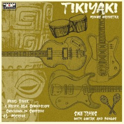 Sketches With Guitar and Bongos
