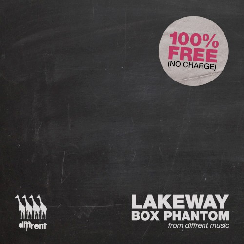 Box Phantom