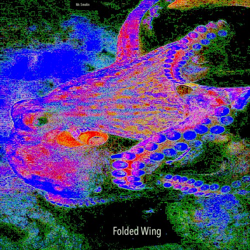 Folded Wing