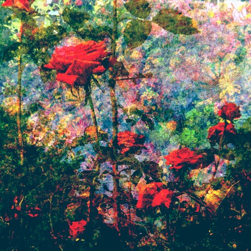 Light Road Record Dream