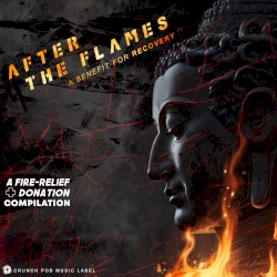 After the Flames: A Benefit for Recovery - A Donation Compilation