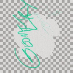 Digital Geometry