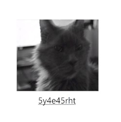 5y4e45rht