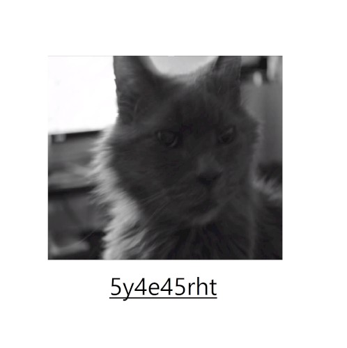 5y4e45rht