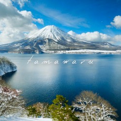 tamawaru