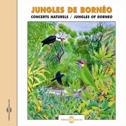 Jungles de Bornéo / Jungles of Borneo