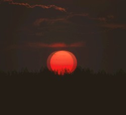 Red Moon Dance ep
