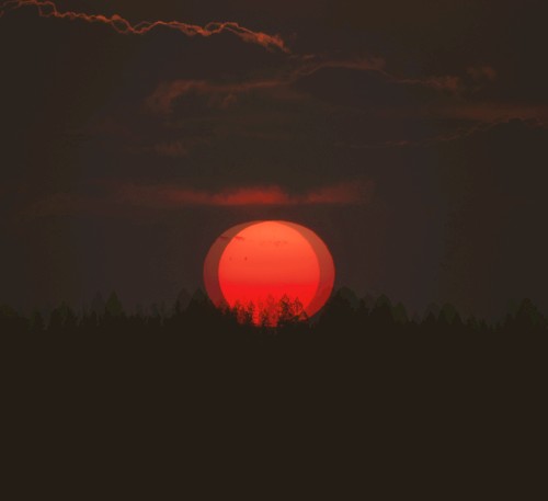 Red Moon Dance ep