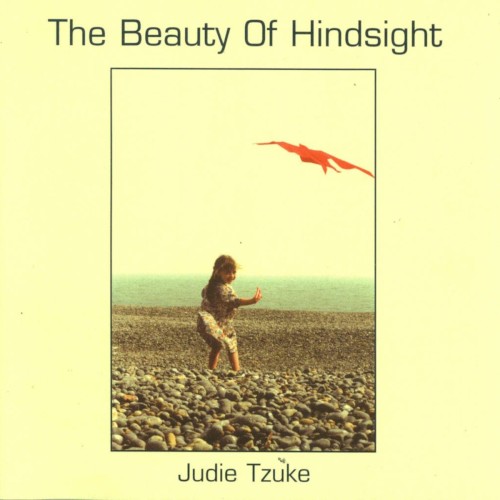 The Beauty of Hindsight, Volume 1