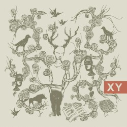 XY