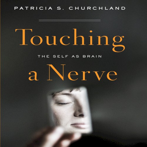 Touching a Nerve: The Self as Brain