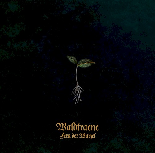 Fern der Wurzel (Neuaufnahme 2025)