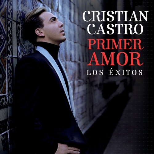 Primer amor: Los éxitos
