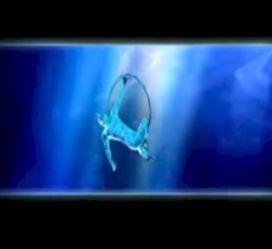 Aquarium IV