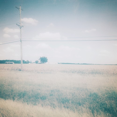 By Some Distance