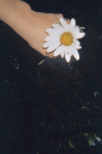 hoped