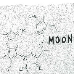Chlorophyll
