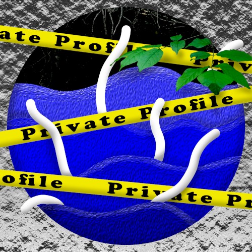 Private Profile