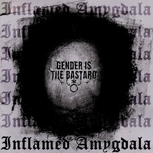 INFLAMED AMYGDALA