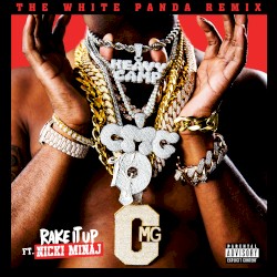 Rake It Up (The White Panda remix)