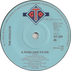 A Rose Has to Die