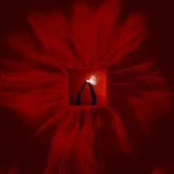 Movement 10 ‐ Her Gift
